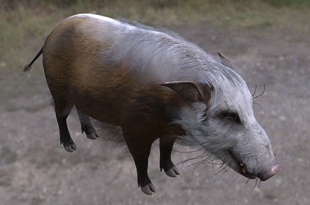 Modern African Scrub Wild Boar Wildlife Creatures 3d model