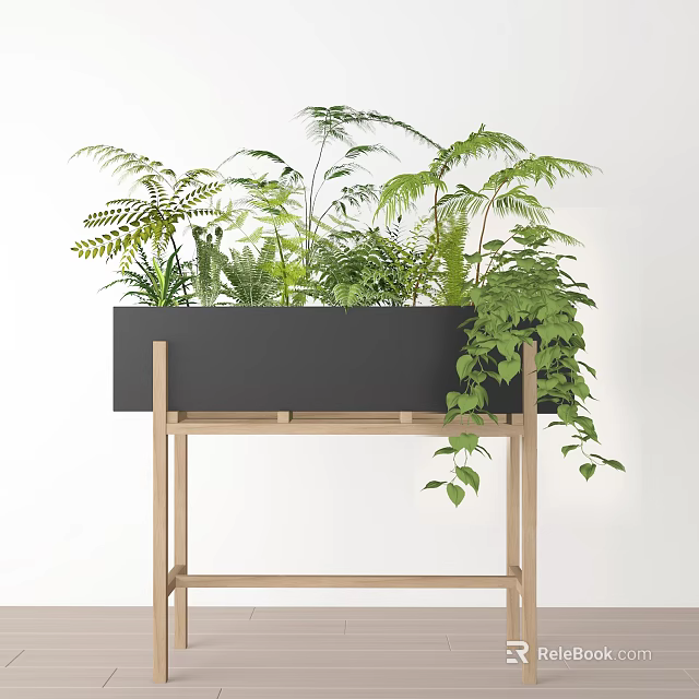 Potted Bonsai Plants in Black Planter on Wooden Stand with Green Ferns and Trailing Vines 3d model 
