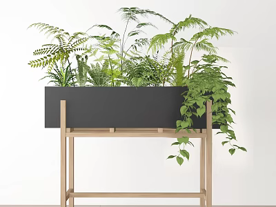 Potted Bonsai Plants in Black Planter on Wooden Stand with Green Ferns and Trailing Vines 3d model