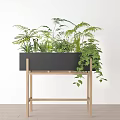 Potted Bonsai Plants in Black Planter on Wooden Stand with Green Ferns and Trailing Vines