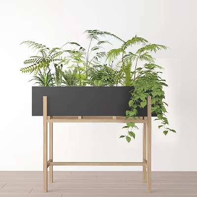 Potted Bonsai Plants in Black Planter on Wooden Stand with Green Ferns and Trailing Vines 3d model