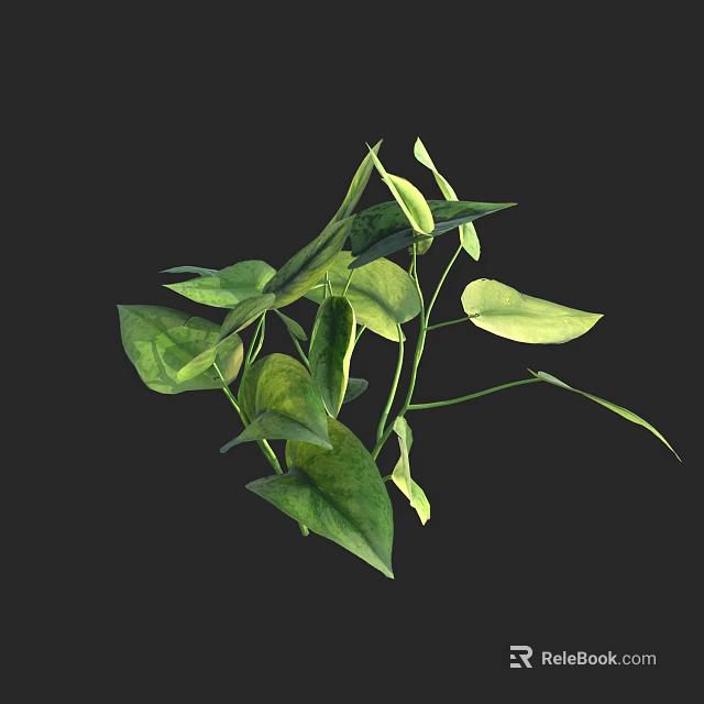 Vibrant Green Plant with Lush Leaves Isolated on Black Background 3d model 