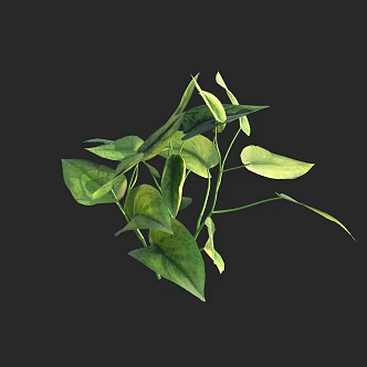 Modern Green Rose Green Flower Grass 3d model