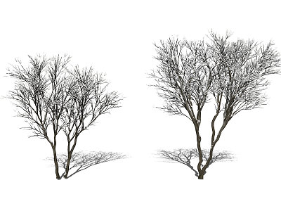 Modern Tree Snow Scene Dead Tree model