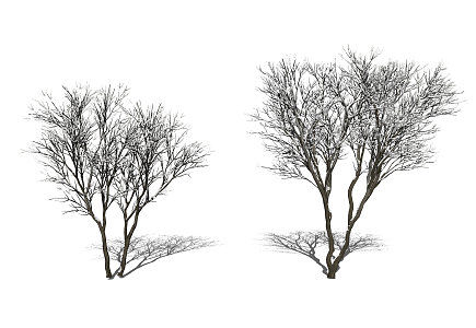 Modern Tree Snow Scene Dead Tree 3d model