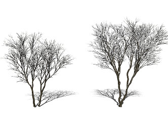 Modern Tree Snow Scene Dead Tree 3d model