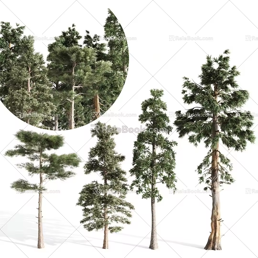 4 pine trees 3d model