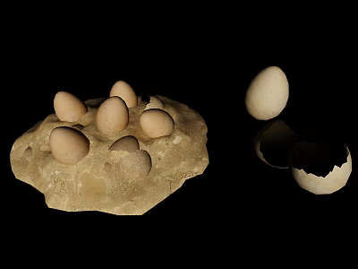 Animal Eggs on Rock Base with Some Hatching and Broken Shells 3d model