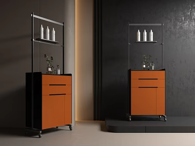 Stylish Orange Cabinets With Metal Shelves White Bottles Green Plants And Dark Wall 3d model