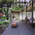 Garden Landscape With Paved Pathways People Relaxing On Benches And Lush Green Foliage