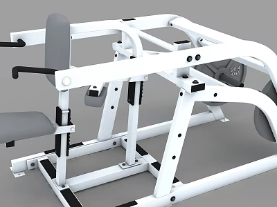 Professional Strength Training Fitness Equipment With White Frame Gray Seat And Black Handles 3d model