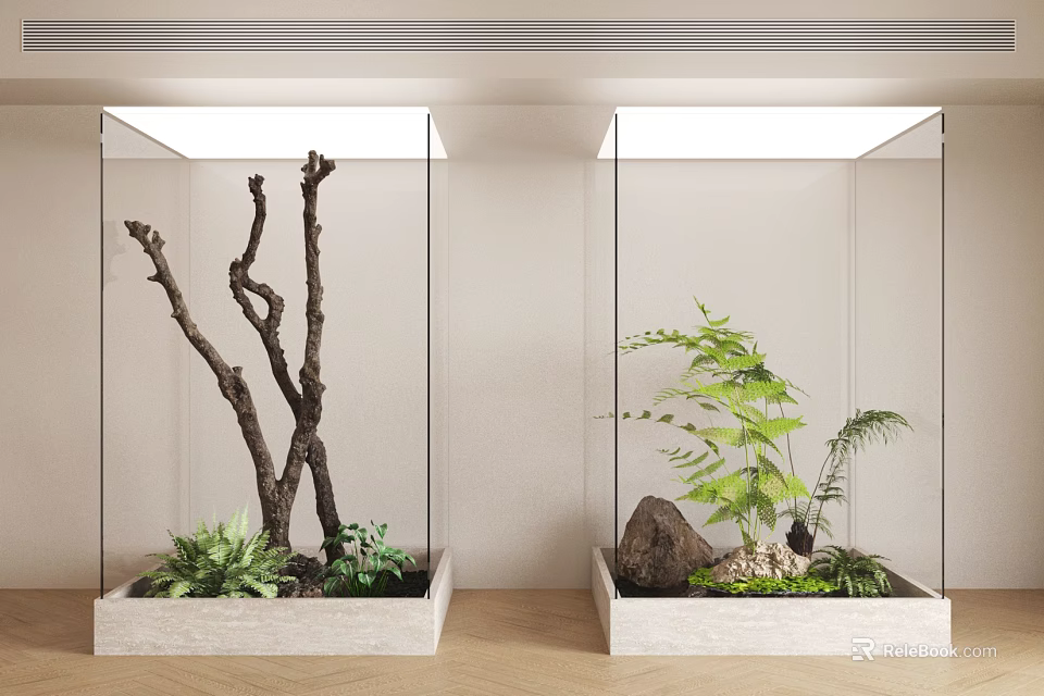 Indoor Plant Combinations in Glass Display Cases with Dry Branches Ferns and Stones 3d model 