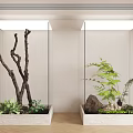 Indoor Plant Combinations in Glass Display Cases with Dry Branches Ferns and Stones