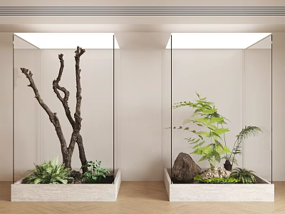 Indoor Plant Combinations in Glass Display Cases with Dry Branches Ferns and Stones 3d model