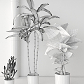 Modern Potted Plant 3d model