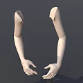 Mannequin Arms With Natural Skin Tone In Open Hands Pose For Fashion