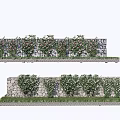 Green Vines With Flowers Growing On Iron Fence And Stone Wall Outdoor Decor