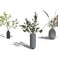 Three Different Vases With Green Branches Lush Plants And Brown Dried Grass For Home Decor
