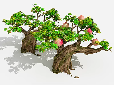 Tall Ancient Trees with Thick Trunks Green Leaves and Ripe Peaches 3d model