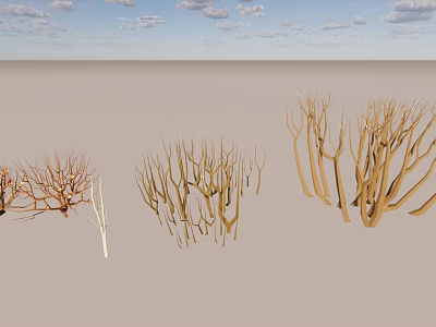 Various Dry Arbor With Different Branch Structures And Natural Forms 3d model