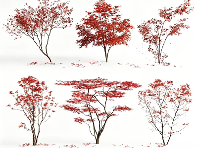 Vibrant Red Leaf Trees In Autumn With Fallen Leaves Scattered Around 3d model
