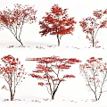 Vibrant Red Leaf Trees In Autumn With Fallen Leaves Scattered Around