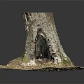 Natural Rustic Wooden Stump Decorative Piece With Stone Base Hole Moss And Leaves