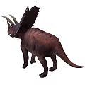Realistic Brown Triceratops Dinosaur Model With Horns And Frill Details
