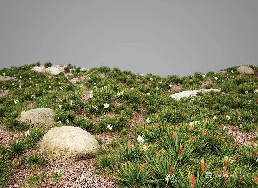 Green Flower Grass With White Flowers And Scattered Big Rocks On Lawn 3d model 