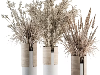 Dried Flowers In Modern White And Wooden Vases With Natural Tones Minimalist Design 3d model