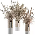 Dried Flowers In Modern White And Wooden Vases With Natural Tones Minimalist Design