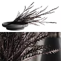 Stylish Black Vases With Dried Plants For Modern Home Decoration