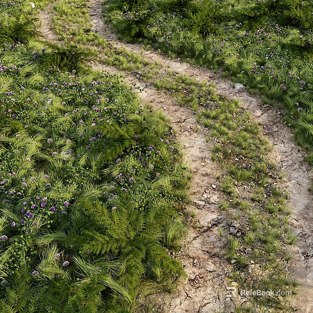 Lush Green Grasses And Purple Wildflowers Along Dirt Path With Ferns And Natural Greenery 3d model 