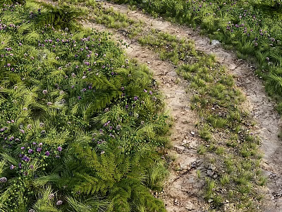 Lush Green Grasses And Purple Wildflowers Along Dirt Path With Ferns And Natural Greenery 3d model