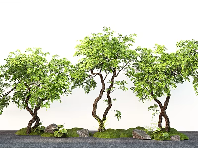 Lush Plant Combination Featuring Three Curved Trees Green Leaves Stones And Grass 3d model