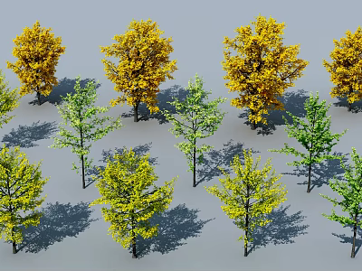 Various Yellow And Green Arbor Trees Arranged With Shadows On Gray Background 3d model