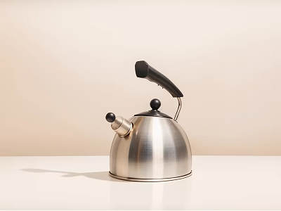 Stainless Steel Kettle With Black Handle As Modern Daily Use Household Appliance 3d model