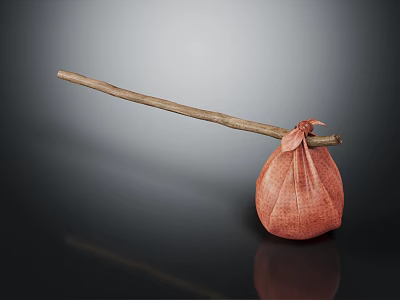 Long Wooden Stick With Hanging Red Fabric Bag On Dark Reflective Surface 3d model