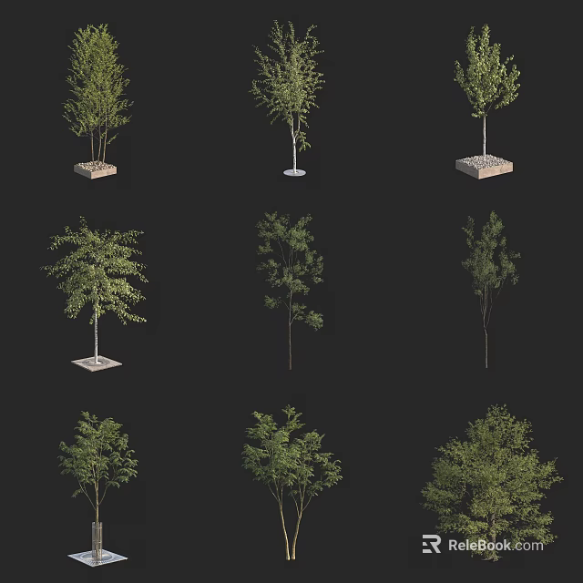 Various Arbor Trees With Different Heights And Lush Green Foliage 3d model