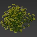 Indoor Decorative Bonsai Potted Plant With Lush Yellow Flowers In White Pot