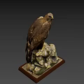 Majestic Eagle Standing On Rocky Perch In Natural Outdoor Environment