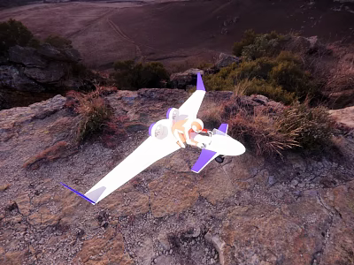 White And Purple Aircraft On Rocky Terrain With Green Vegetation 3d model