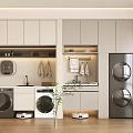 Modern Storage Cabinets in Laundry Room with Washing Machine Dryer Hanging Racks and Potted Plant