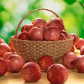 Apple 3d model