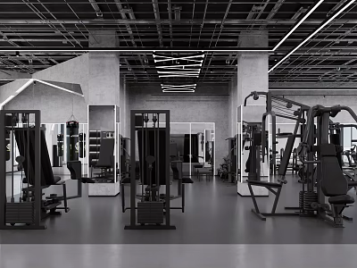 Modern Fitness Gym With Various Exercise Equipment And Spacious Training Area 3d model