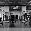 Modern Fitness Gym With Various Exercise Equipment And Spacious Training Area