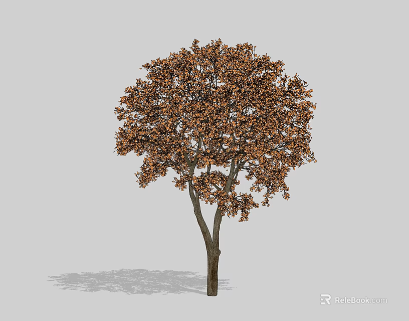 Lush Arbor With Brown Foliage And Sturdy Trunk In Natural Environment 3d model 