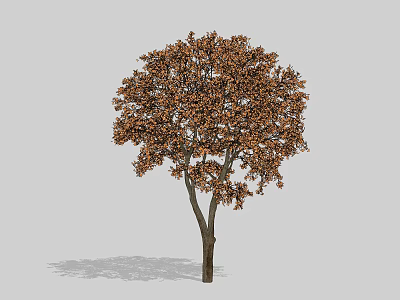Lush Arbor With Brown Foliage And Sturdy Trunk In Natural Environment 3d model
