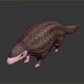 Realistic Pangolin 3D Model With Brown Scales And Pink Nose
