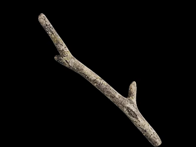 Arbor Branch With Natural Grayish Brown Texture And Forked Structure Isolated On Black Background 3d model